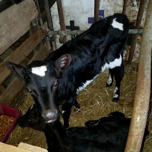 Meet your Posher, Aubrey